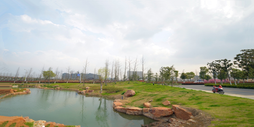 明光市政務中心景觀綠化